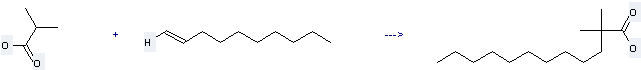Dodecanoic acid,2,2-dimethyl- can be prepared by isobutyric acid and dec-1-ene